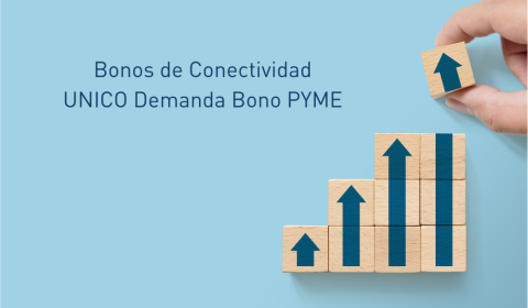 Bonos de Conectividad UNICO Demanda Bono PYME