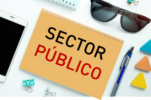 Sector Público