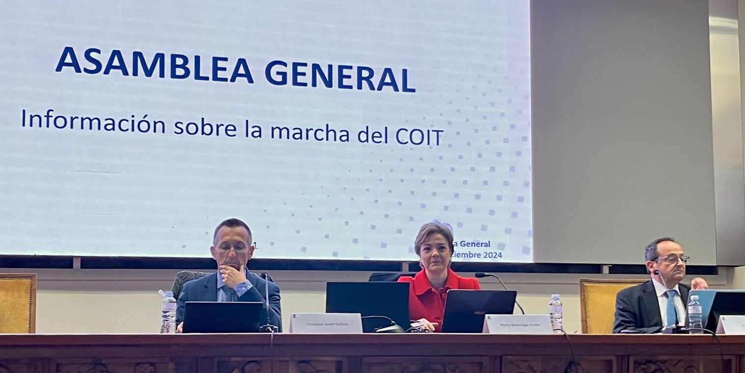 Asamblea General del COIT - Diciembre 2024: resumen del semestre y mirada al futuro